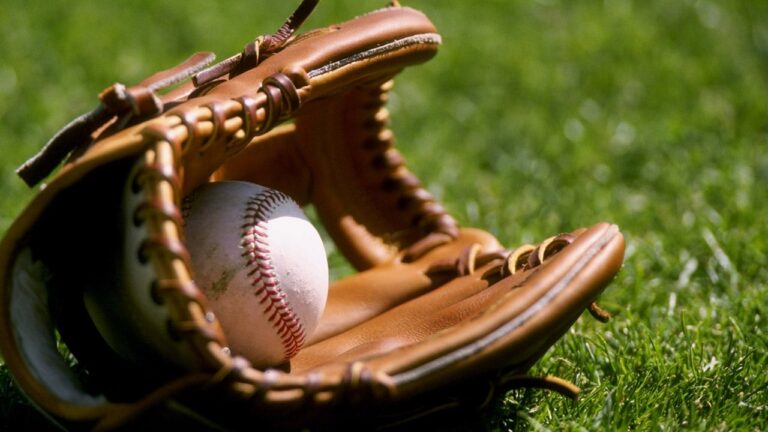 baseball glove
